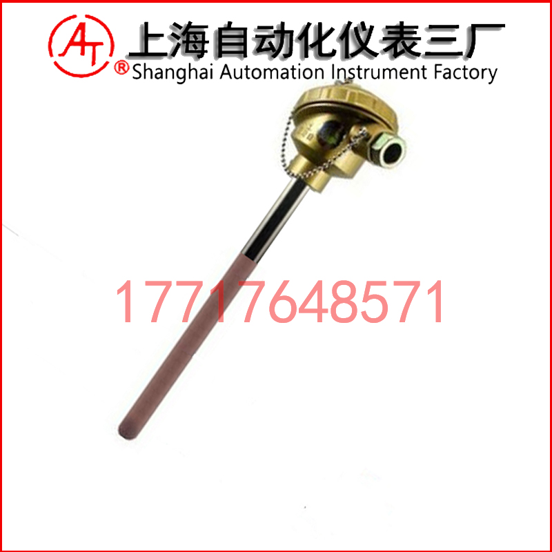 WRP2-120雙支鉑銠熱電偶