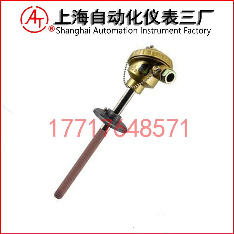 WRR2-320雙支鉑銠熱電偶
