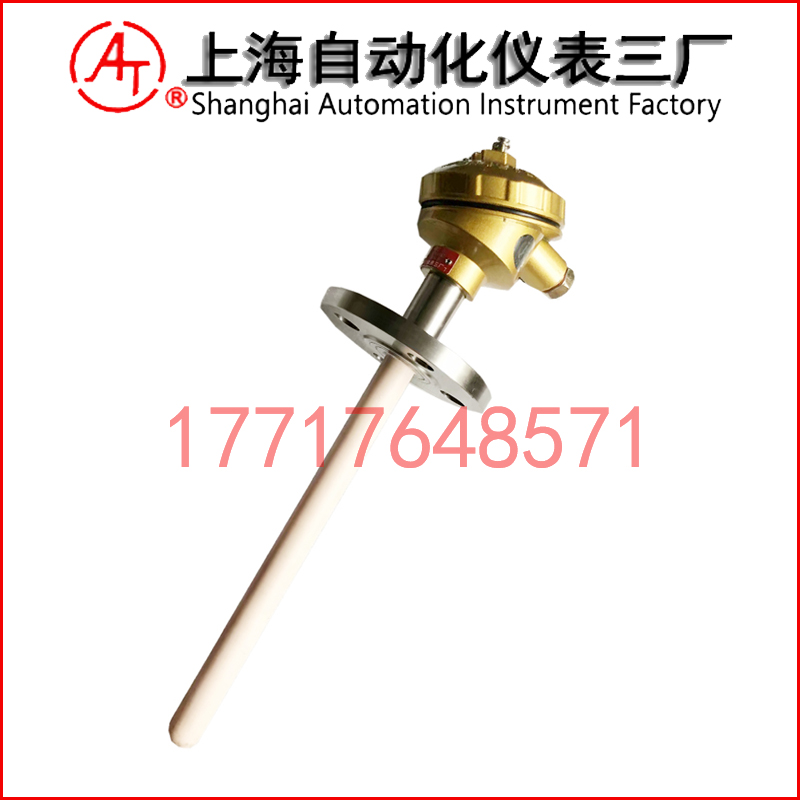 WRP2-420雙支鉑銠熱電偶