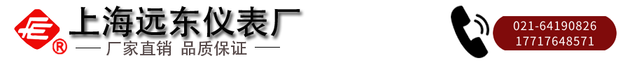 上海遠(yuǎn)東儀表廠.png